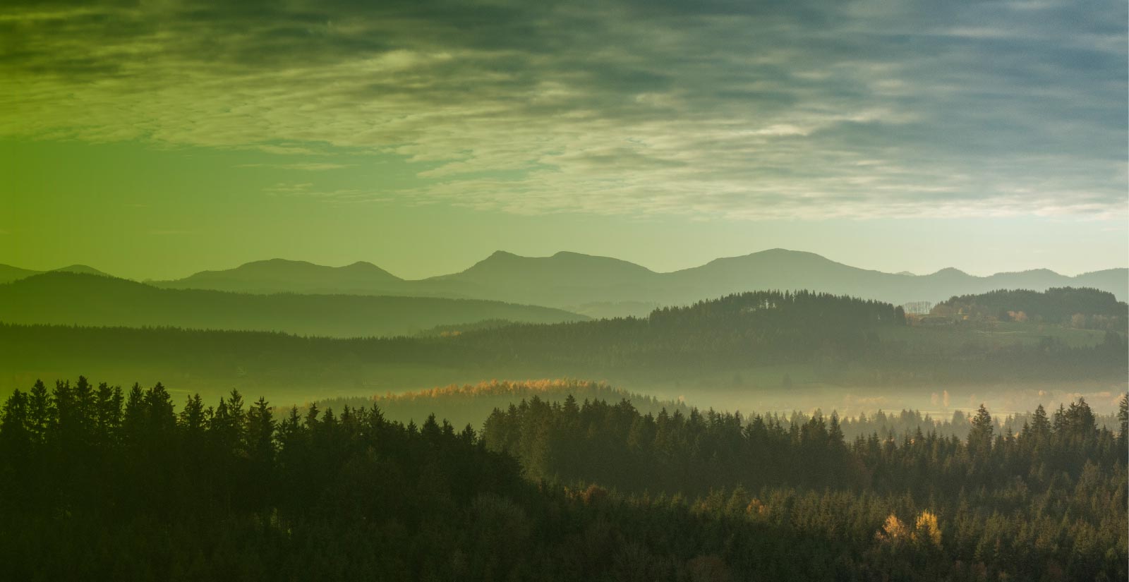 Start TopSlider Bild